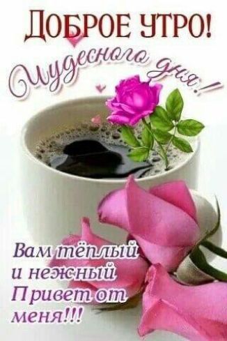 ДОБРОЕ НТРО 543010401 _ МЙСЭ у мг_