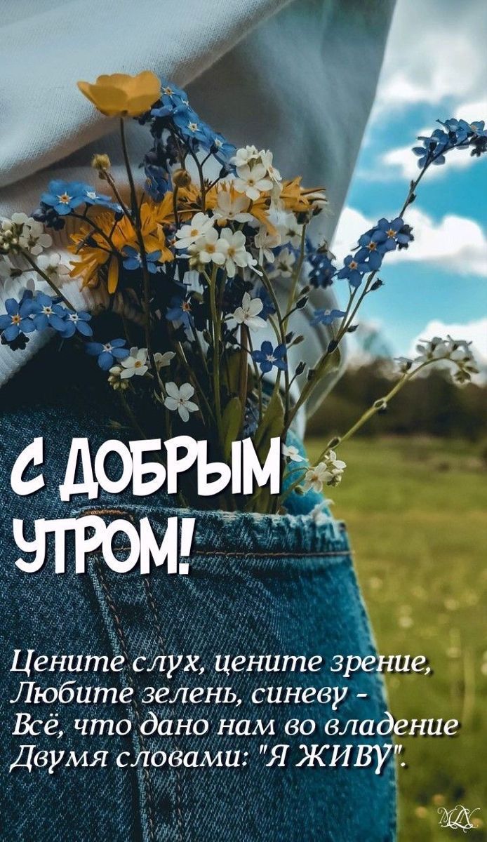 Ценитё Елух цените 3 те Любите зелень синеву Всё чтадйно нам во владение Двумя сцовами Я живу щ
