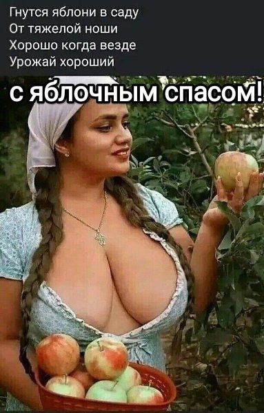Гнутся яблони в саду От тяжелой ноши Хорошо когда везде Урожай хороший с яблэ чным спасом