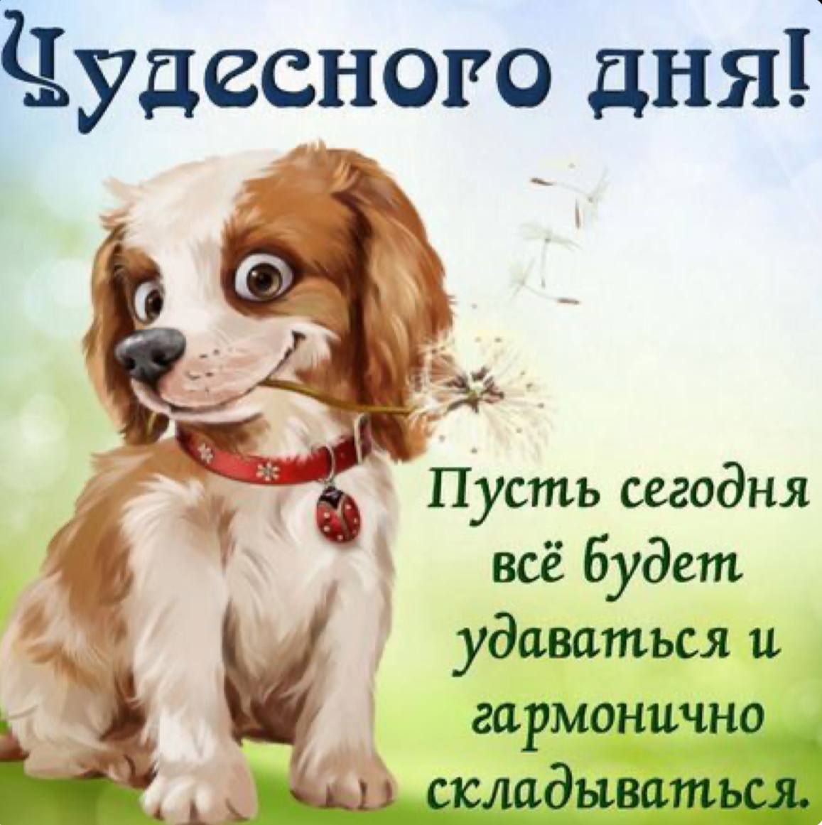 Чудесного Дня Пусть сегодня всё будет удивиться гармонично щт