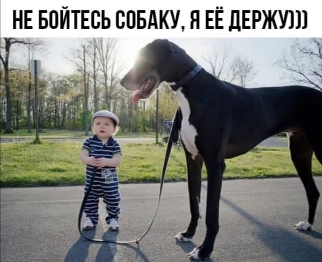 НЕ БПЙТЕСЬ СОБАКУ Я ЕЁ дЕРЖУШ