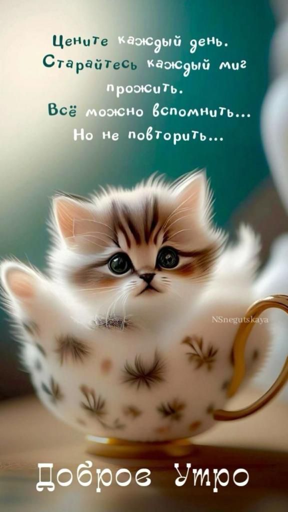 каждый Миг ить о БоломниТь повторив