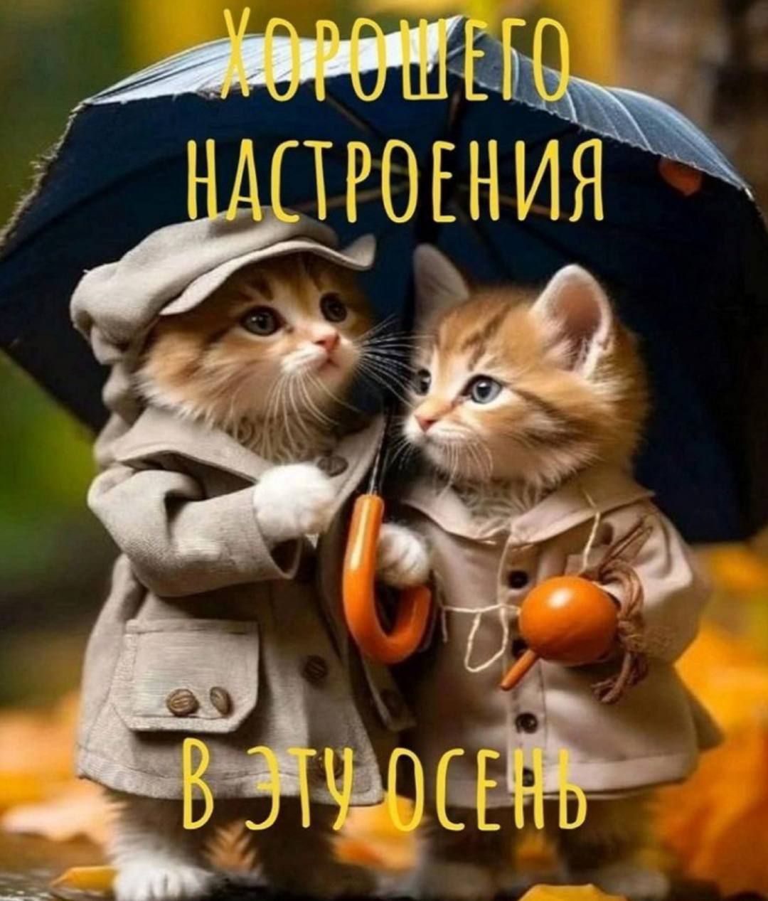 проёния г