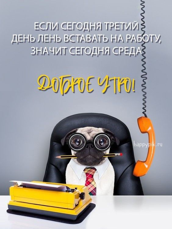ЕСЛИ СЕГОДНЯ ТРЕГИИ ДЕНЬ Ь ЬСГАБАГЬ НА Ргг Т ЗНЧЛГСЕГОП ііі СРП гч1 10рг06Гг0