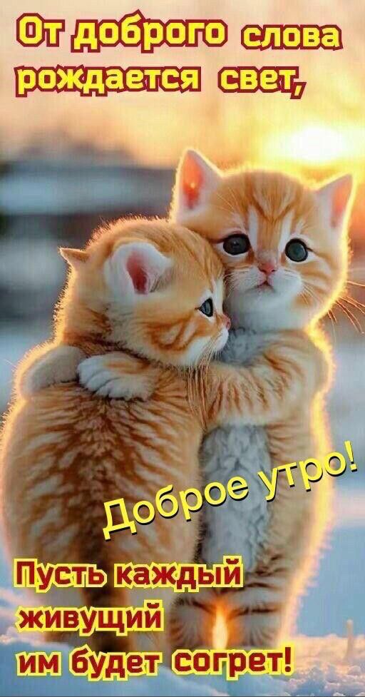 тм рпщ