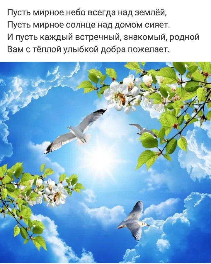 Пусть мирное небо всегда над землей Пусть мирное солнце над домом сияет И пусть каждый встречный знакомый родной Вам с тёплой улыбкой добра пожелает