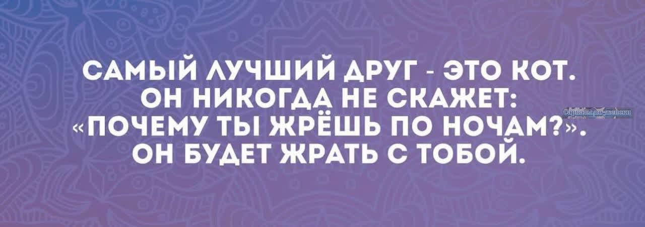 ОАМЫИ АУЧШИИ АРУГ ЭТО КОТ ОН НИКОГАА НЕ СКАЖЕТ ПОЧЕМУ ТЫ ЖРЕШЬ ПО НОЧАНЪ ОН БУАЕТ ЖРАТЬ О ТОБОИ