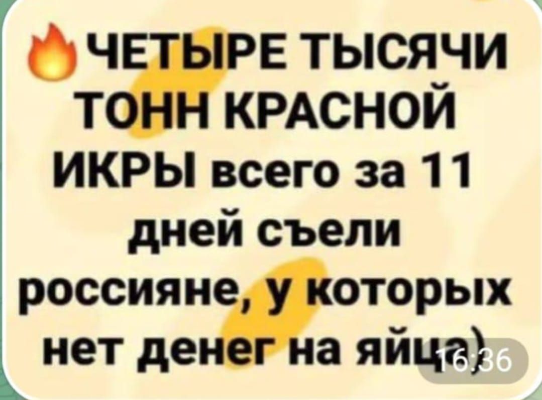 6 ч Е тысячи т КРАСНОЙ ИКРЫ всего за 11 дней съели россияндоторых нет де а яйца