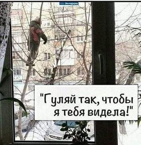 Гуляй так чтобы я тебя видела и