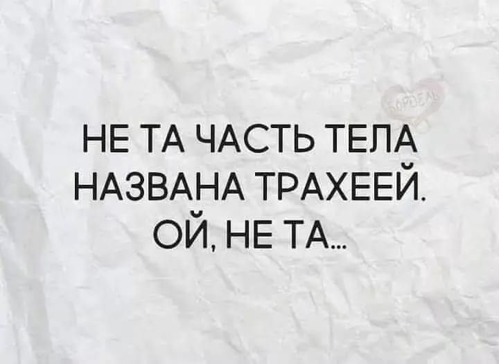 НЕ ТА ЧАСТЬ ТЕПё НАЗВАЗ іА ТРАХЕЕИ ОИ НЕ ТА