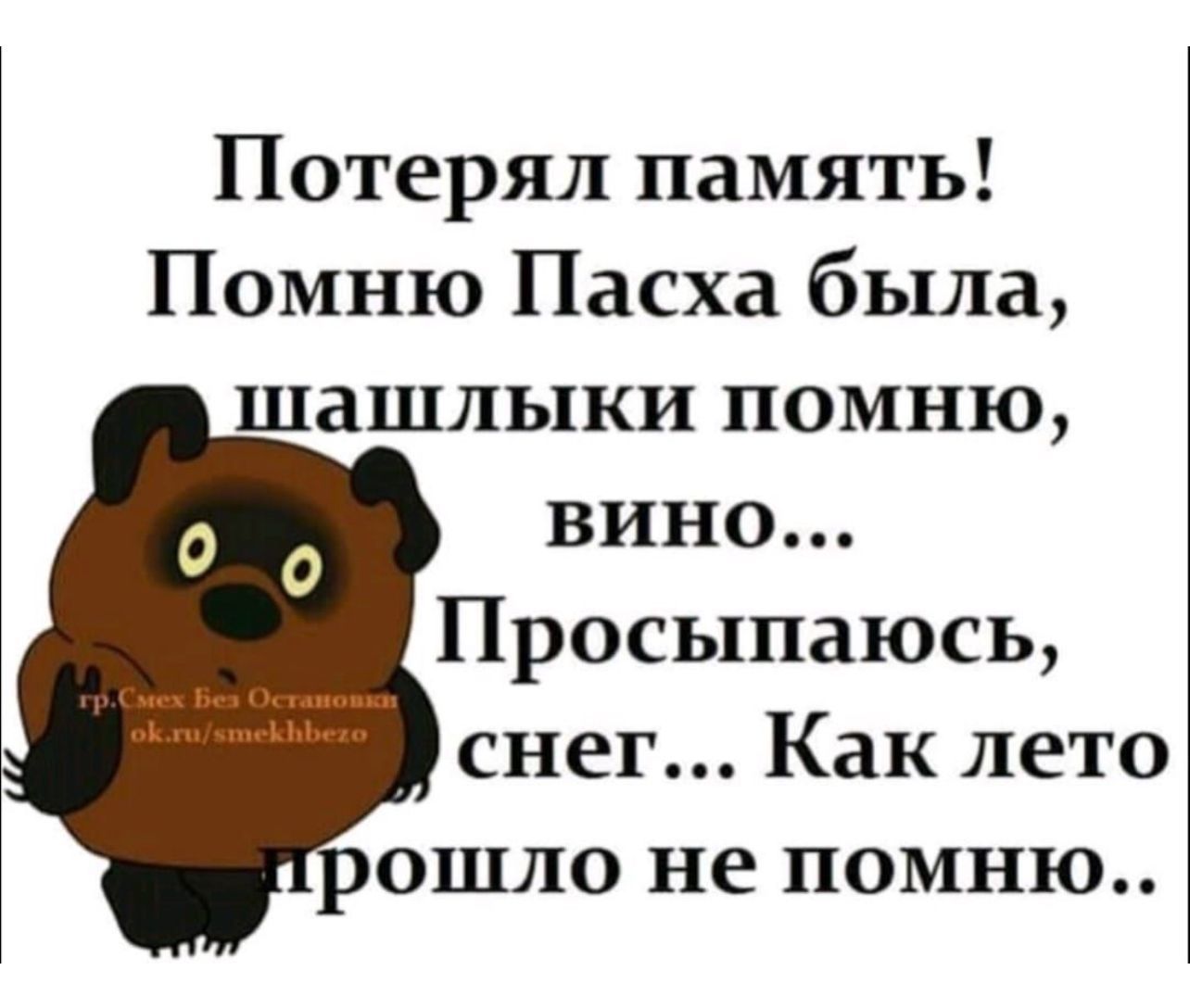 Потерял память Помню Пасха была шашлыки помню вино Просыпаюсь снег Как лето ошло не помню