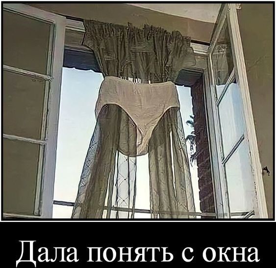 Дала ПОНЯТЬ С ОКНЗ