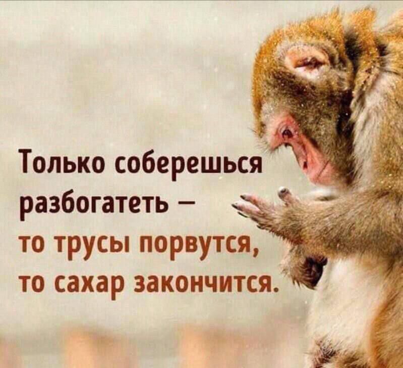 Только соберешься разбогатеть у то трусы порвутся то сахар закончится