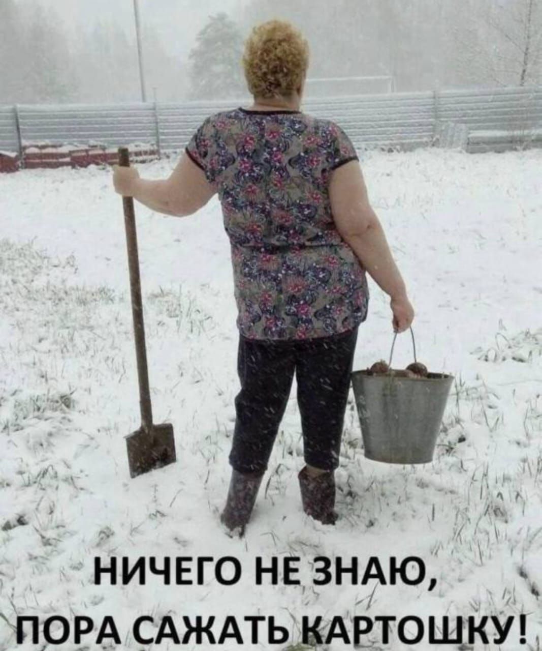 НИЧЕГО НЕ ЗНАЮ, ПОРА САЖАТЬ КАРТОШКУ!