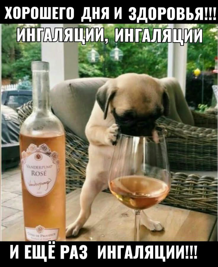 ХОРОШЕГО ДНЯ И ЗДОРОВЬЯ!!! ИНГАЛЯЦИИ, ИНГАЛЯЦИЙ И ЕЩЁ РАЗ ИНГАЛЯЦИИ!!!