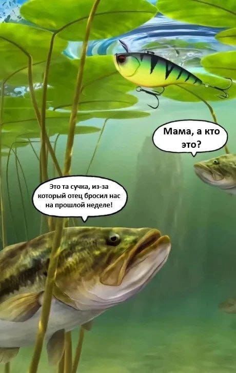 Мама, а кто это? Это та сука, из-за которой отец бросил нас на прошлой неделе!