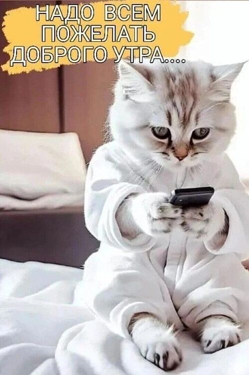 НАДО ВСЕМ ПОЖЕЛАТЬ ДОБРОГО УТРА....