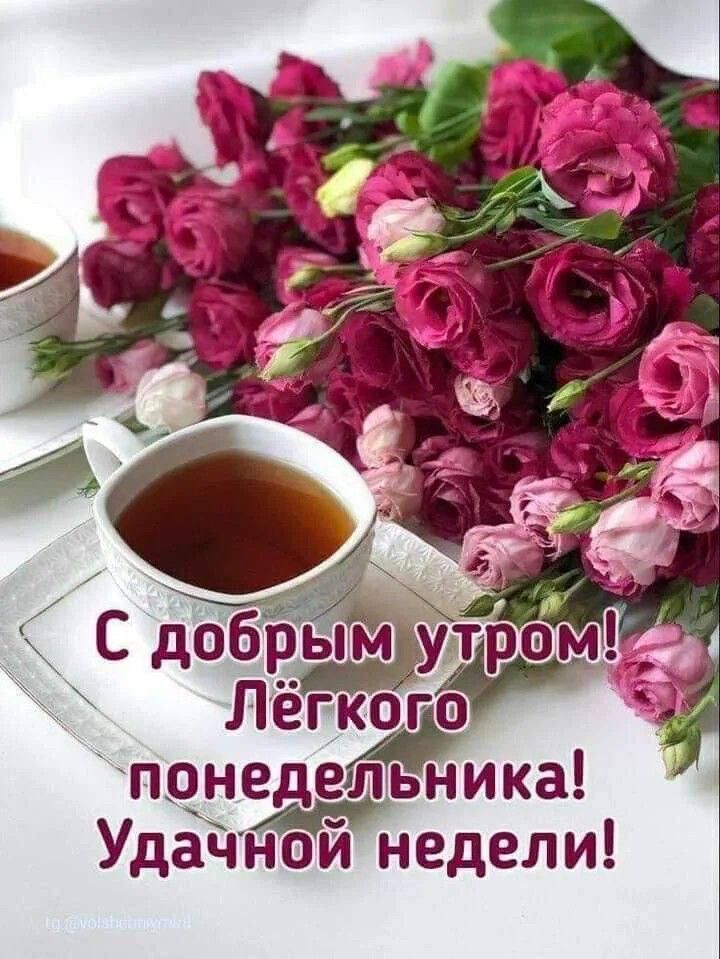С добрым утром! Легкого понедельника! Удачной недели!
