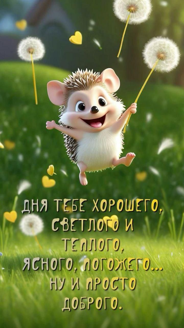 Дня тебе хорошего, светлого и тёплого, ясного, логожего... ну и просто доброго.