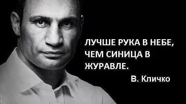 ЛУЧШЕ РУКА В НЕБЕ, ЧЕМ СИНИЦА В ЖУРАВЛЕ.
В. Кличко