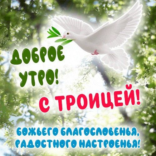 ДОБРОЕ УТРО! С ТРОИЦЕЙ! БОЖЬЕГО БЛАГОСЛОВЕНИЯ, РАДОСТНОГО НАСТРОЕНИЯ!