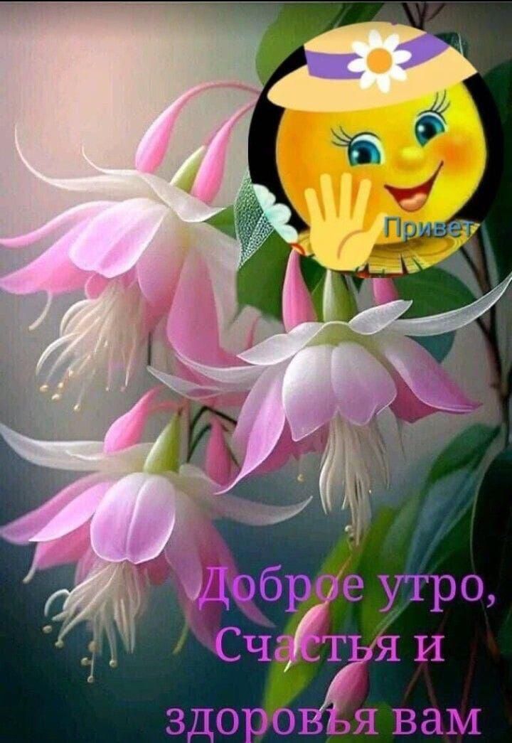 Доброе утро, Счастья и здоровья вам