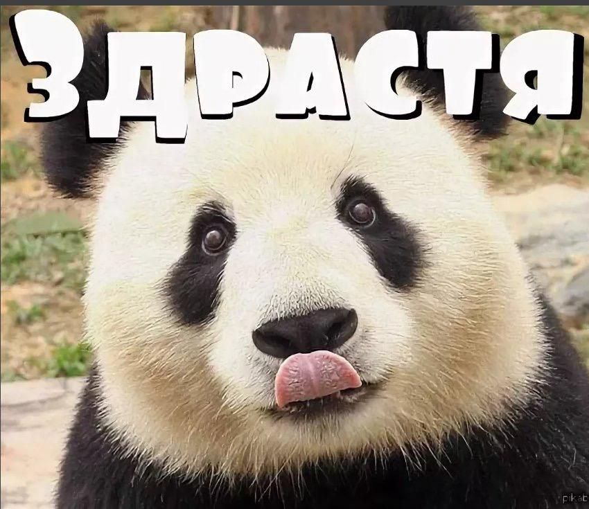 ЗДРАСТЯ