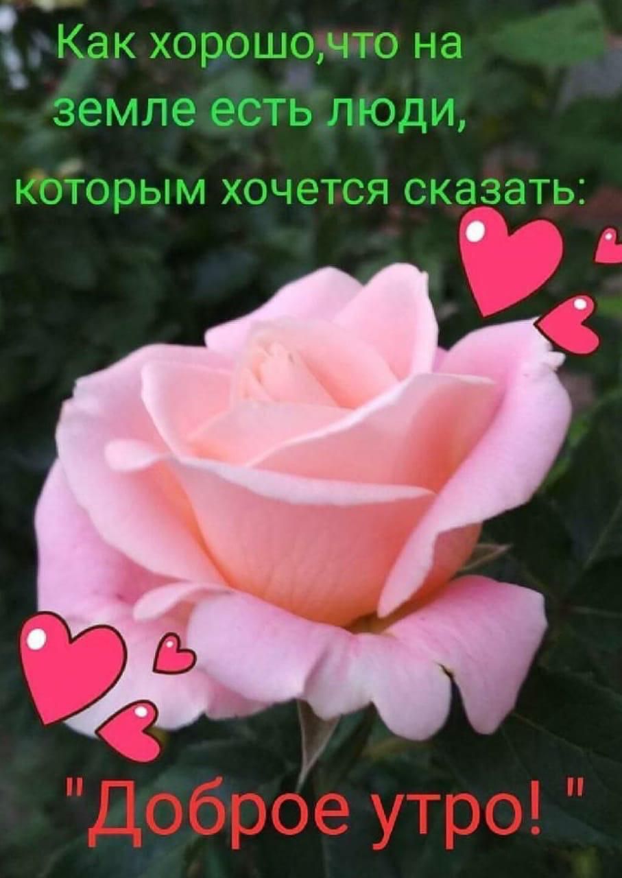 Как хорошо, что на земле есть люди, которым хочется сказать: 