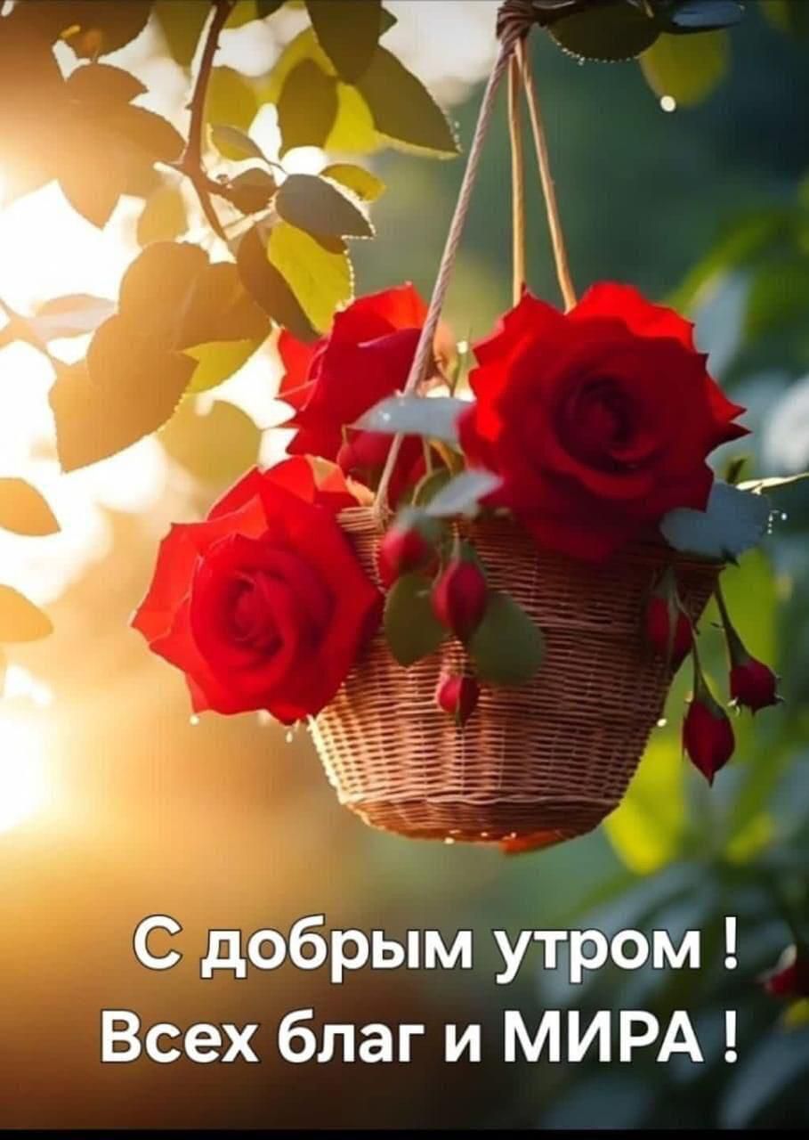 С добрым утром ! Всех благ и МИРА !