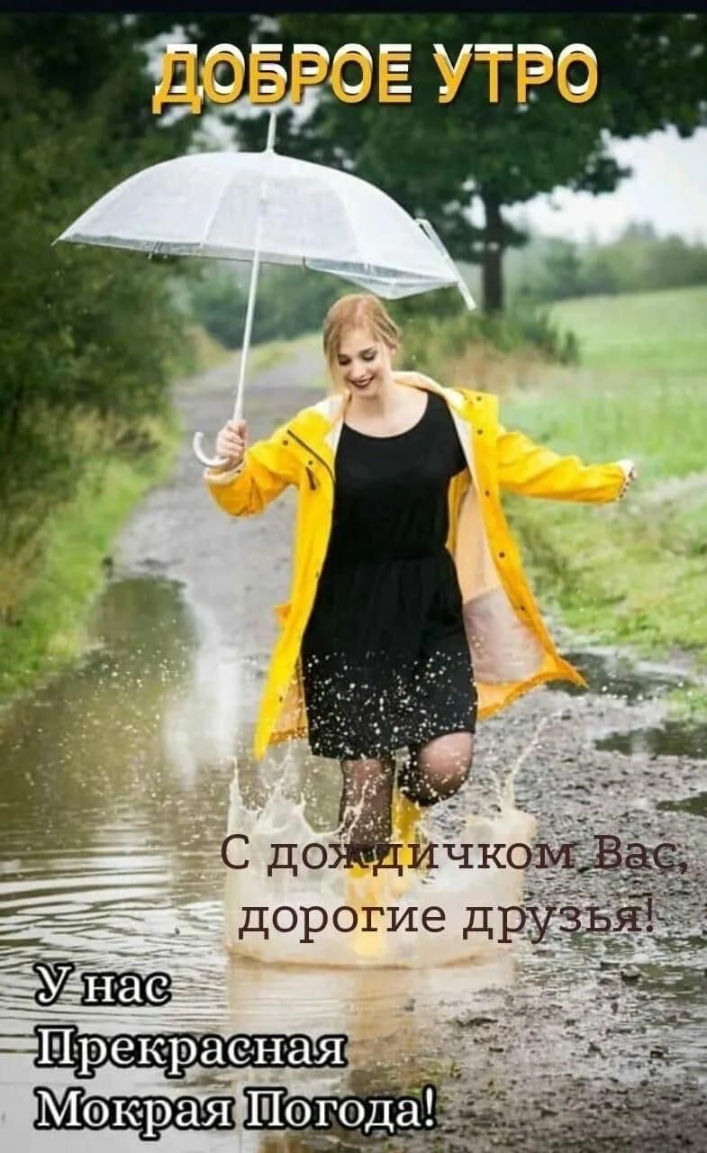 ДОБРОЕ УТРО
С дождичком Вас, дорогие друзья!
У нас Прекрасная Мокрая Погода!