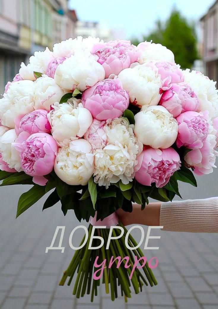 ДОБРОЕ утро