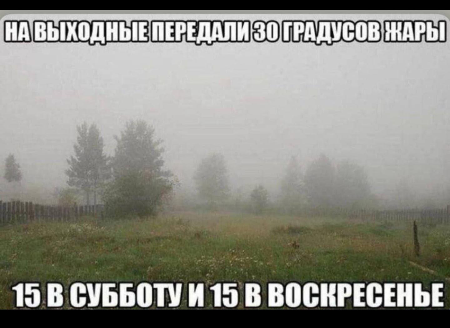НА ВЫХОДНЫЕ ПЕРЕДАЛИ 30 ГРАДУСОВ ЖАРЫ 15 В СУББОТУ И 15 В ВОСКРЕСЬЕ