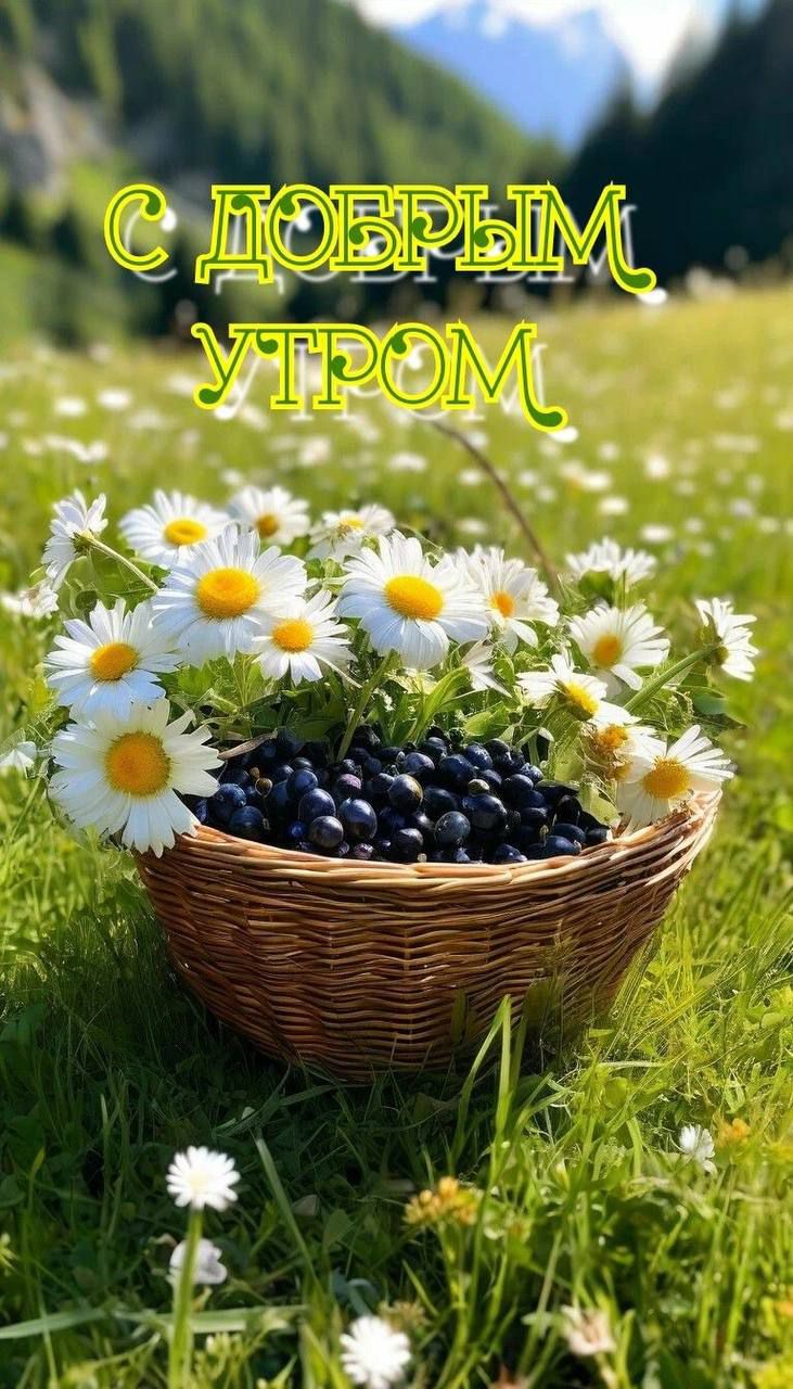 С ДОБРЫМ УТРОМ