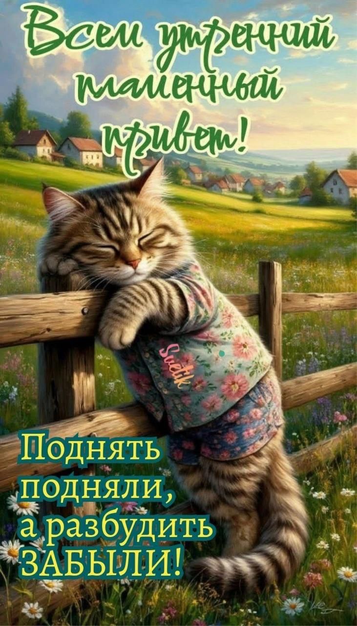 Всем утренний пламенный привет! Поднять подняли, а разбудить ЗАБЫЛИ!