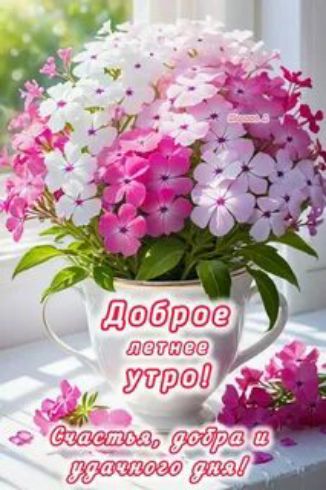 Доброе летнее утро! Счастья, добра и удачного дня!