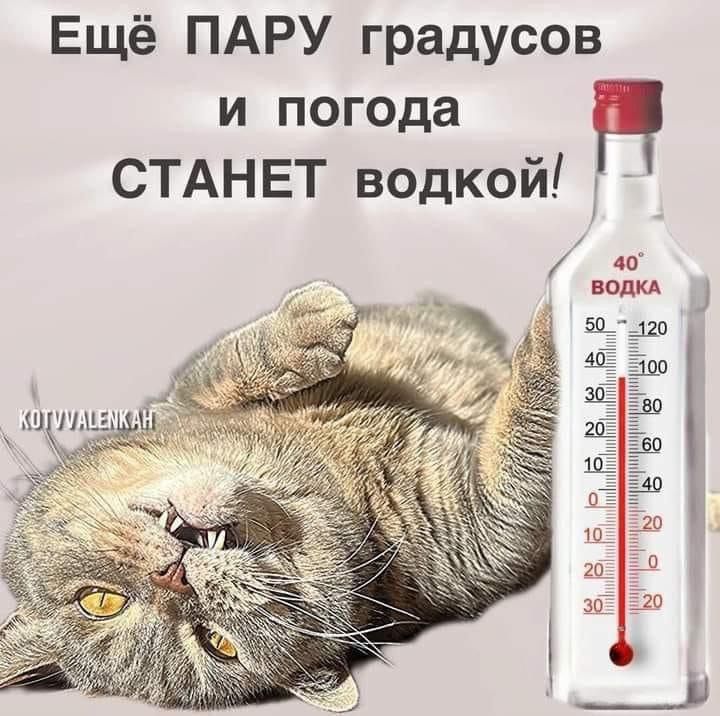 Ещё ПАРУ градусов и погода СТАНЕТ водкой!