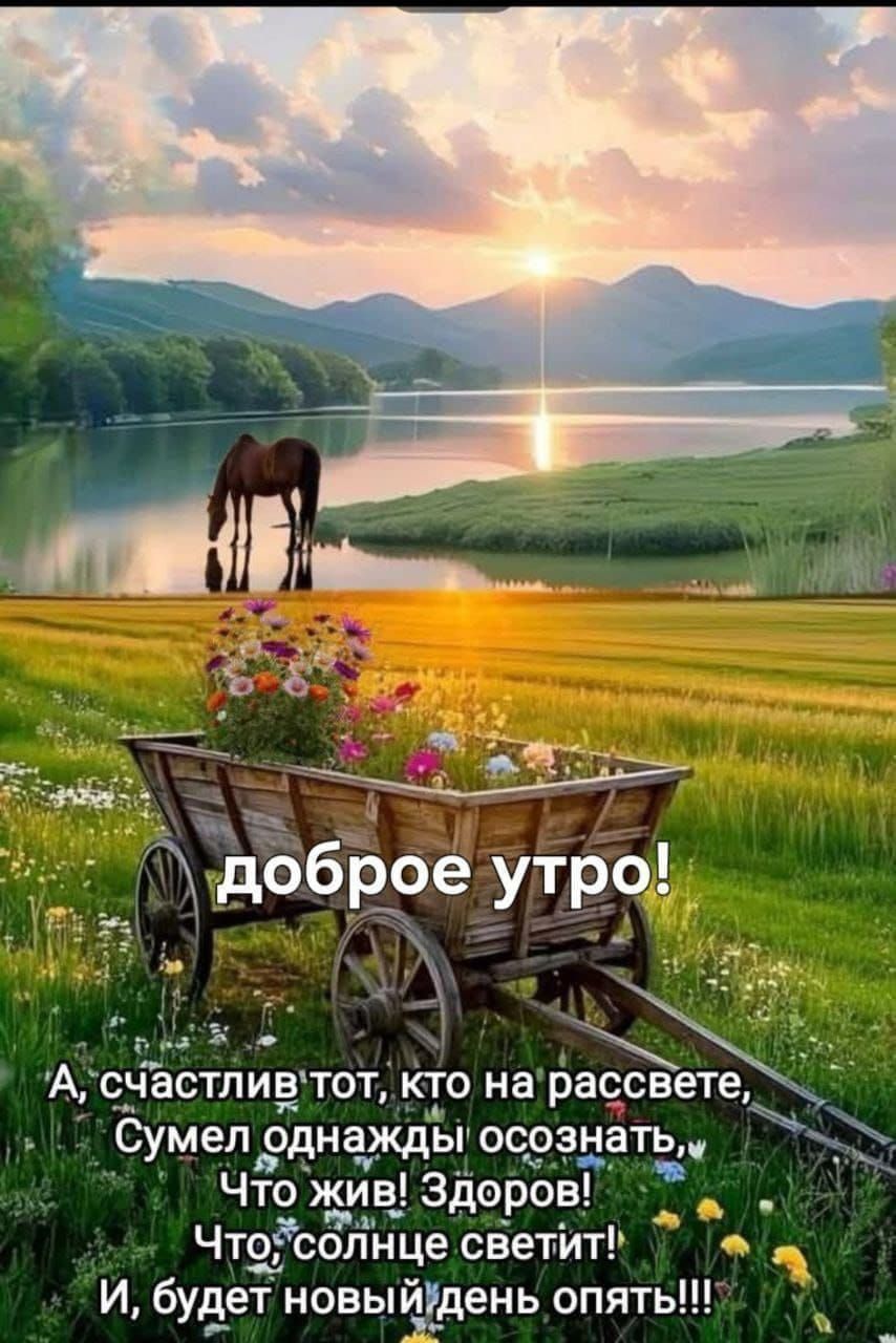 доброе утро!
А, счастлив тот, кто на рассвете,
Сумел однажды осознать,
Что жив! Здоров!
Что, солнце светит!
И, будет новый день опять!!!