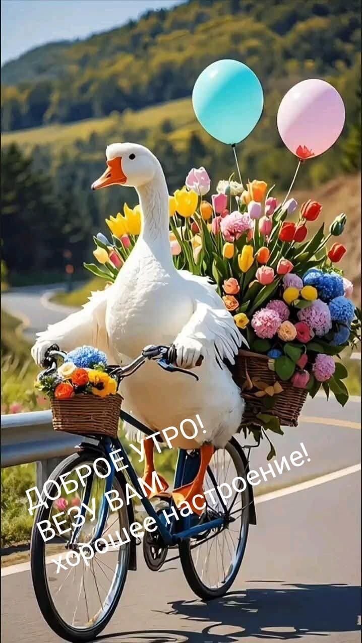 ДОБРОЕ УТРО! БЕЗ У ВАМ хорошее Настроение!