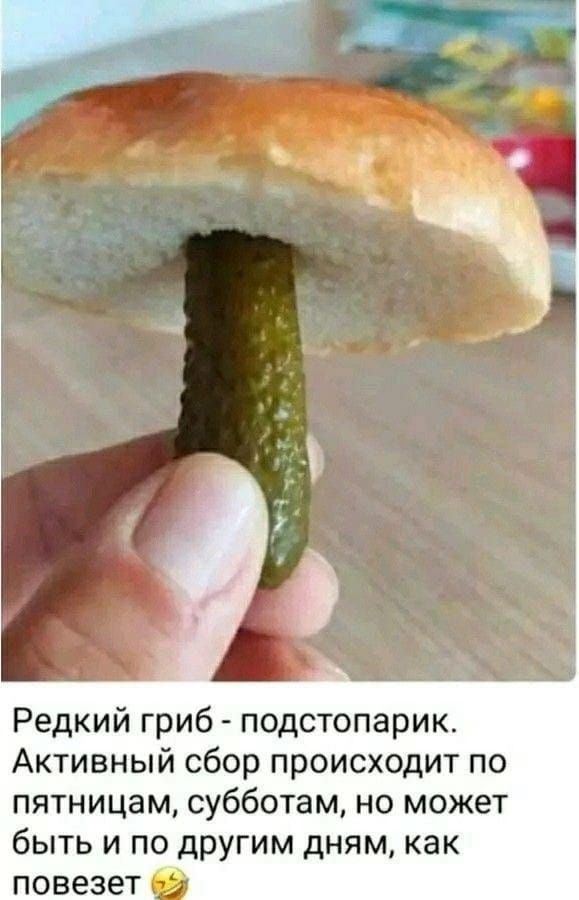 Редкий гриб - подстопарик. Активный сбор происходит по пятницам, субботам, но может быть и по другим дням, как повезет 😆