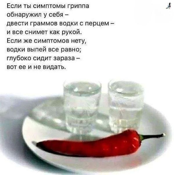 Если ты симптомы гриппа обнаружил у себя – двести граммов водки с перцем – и все снимет как рукой.
Если же симптомов нету, водки выпей все равно; глубоко сидит зараза – вот ее и не видать.