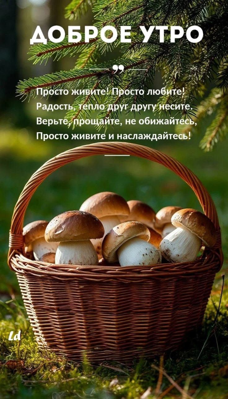 Доброе утро

Просто живите! Просто любите! Радость, тепло друг другу несите. Верните, прощайте, не обижайтесь, Просто живите и наслаждайтесь!