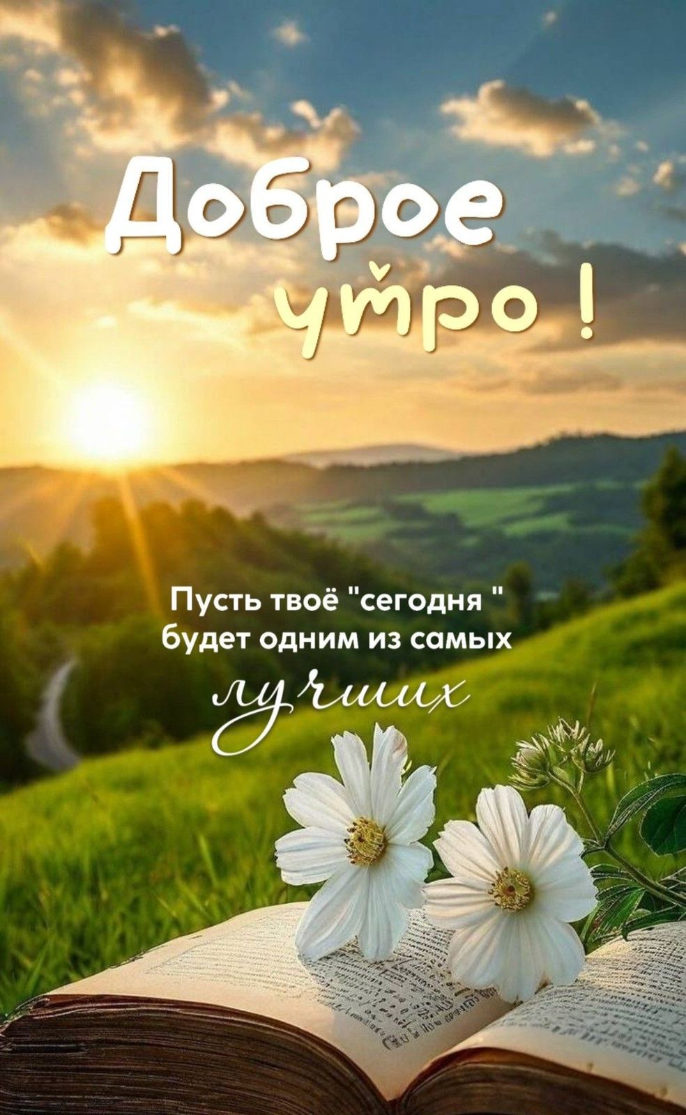 Доброе утро !
Пусть твое 