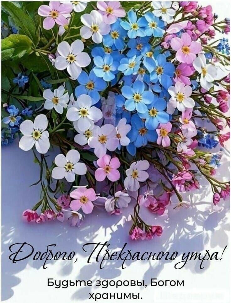 Доброе, Прекрасного утра! Будьте здоровы, Богом хранимы.