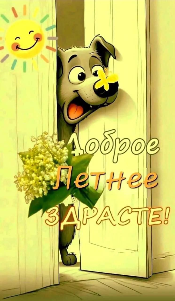 Доброе Летнее Здрасте!