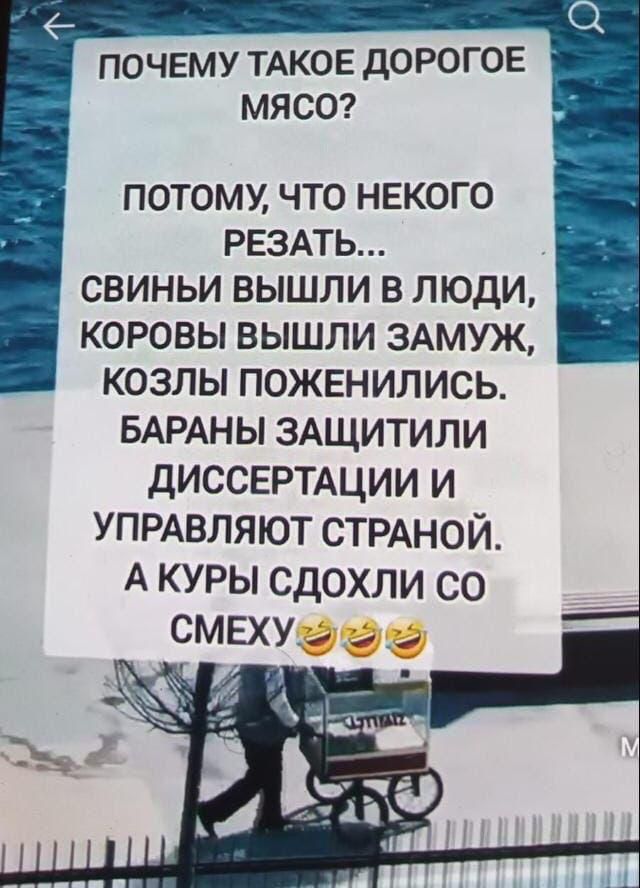 ПОЧЕМУ ТАКОЕ ДОРОГОЕ МЯСО?
ПОТОМУ, ЧТО НЕКОГО РЕЗАТЬ...
СВИНЬИ ВЫШЛИ В ЛЮДИ, КОРОВЫ ВЫШЛИ ЗАМУЖ, КОЗЛЫ ПОЖЕНИЛИСЬ. БАРАНЫ ЗАЩИТИЛИ ДИССЕРТАЦИИ И УПРАВЛЯЮТ СТРАНОЙ. А КУРИ СДОХЛИ СО СМЕХУ😂😂😂