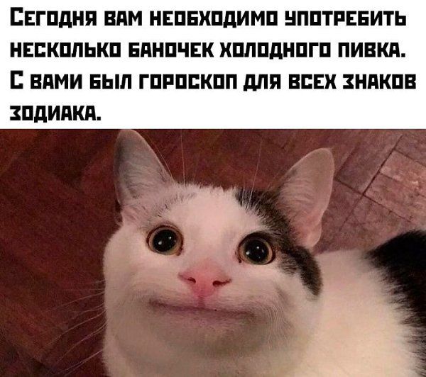 Сегодня вам необходимо употребить несколько баночек холодного пива. С вами был гороскоп для всех знаков зодиака.