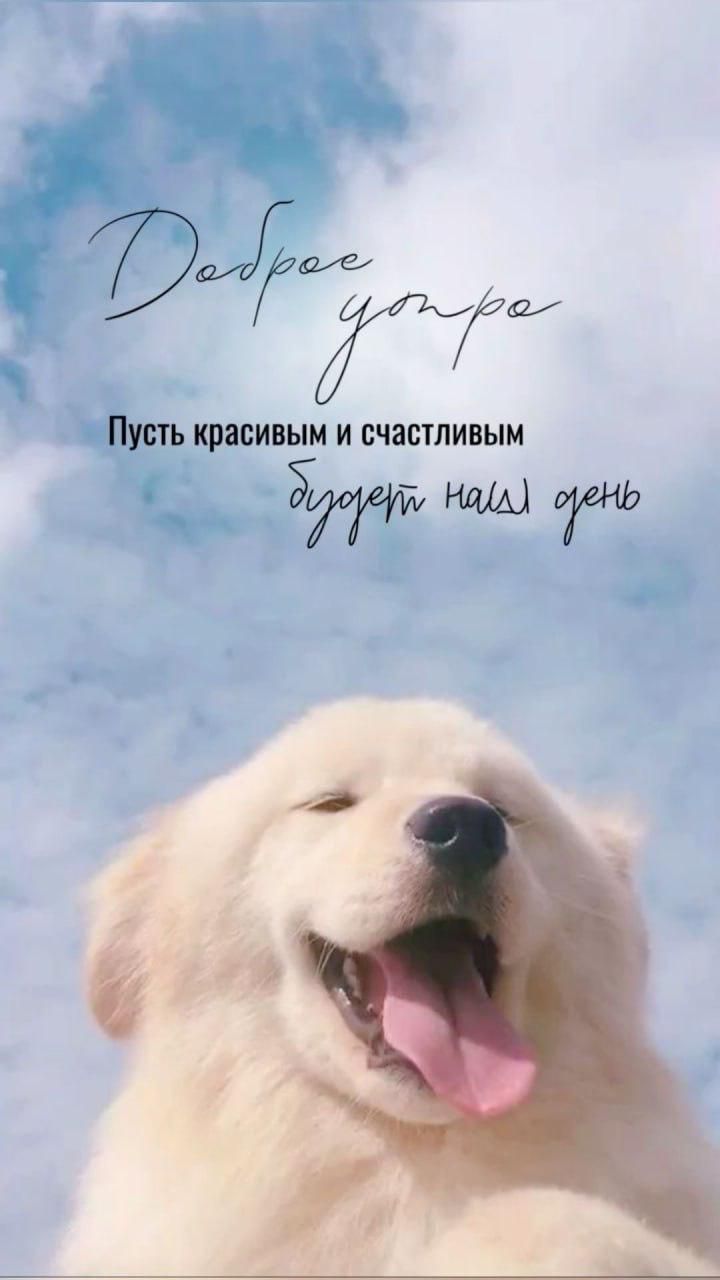 Доброе утро
Пусть красивым и счастливым
будет наш день