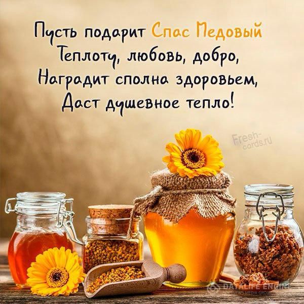 Пусть подарит Спас Медовый
Теплоту, любовь, добро,
Наградит сполна здоровьем,
Даст душевное тепло!