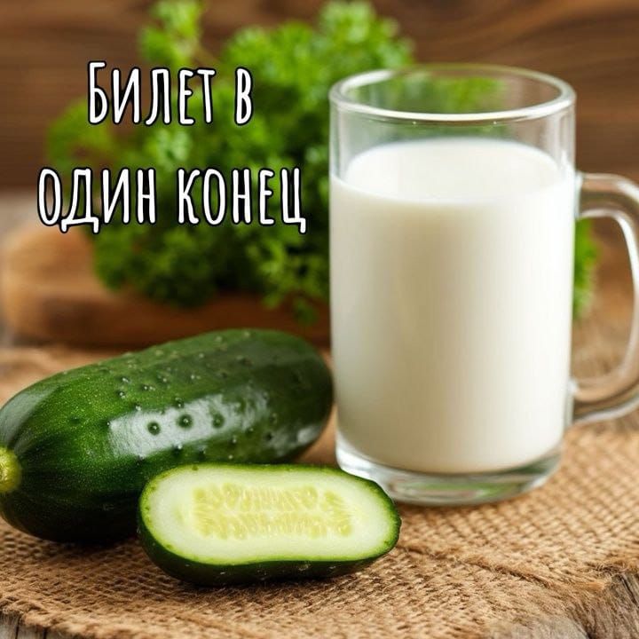 Билет в один конец