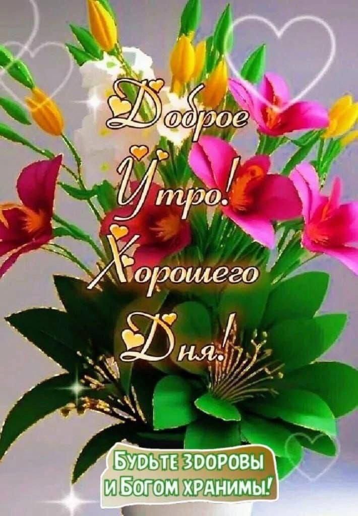 Доброе Утро! Хорошего Дня! БУДЬТЕ ЗДОРОВЫ И БОГОМ ХРАНИМЫ!